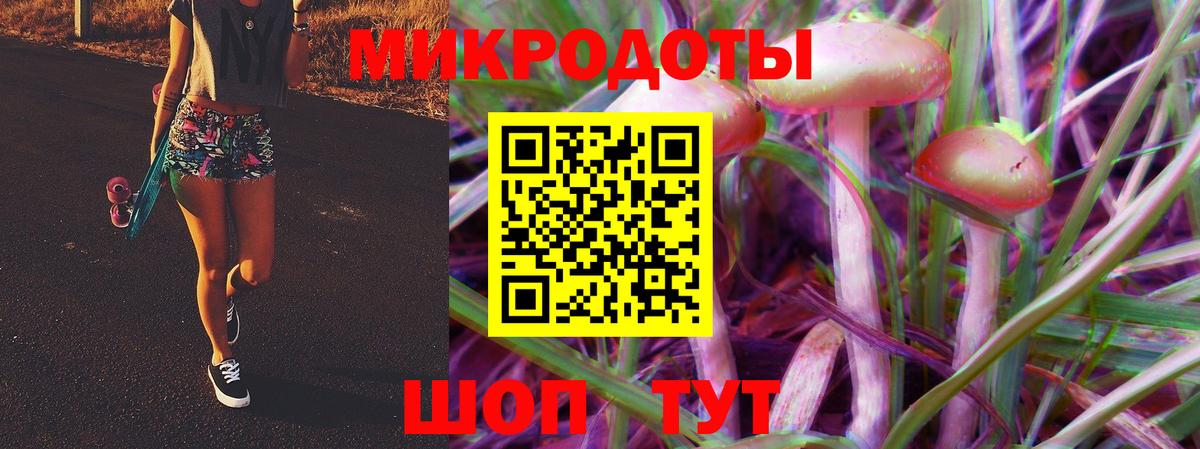 Звенигород  Галлюциногенные грибы MAGIC MUSHROOMS  Вход с VPN 